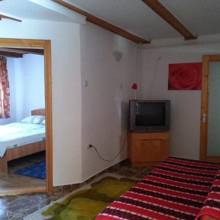 Casa Trandafirilor Hotel Cartisoara Luaran gambar