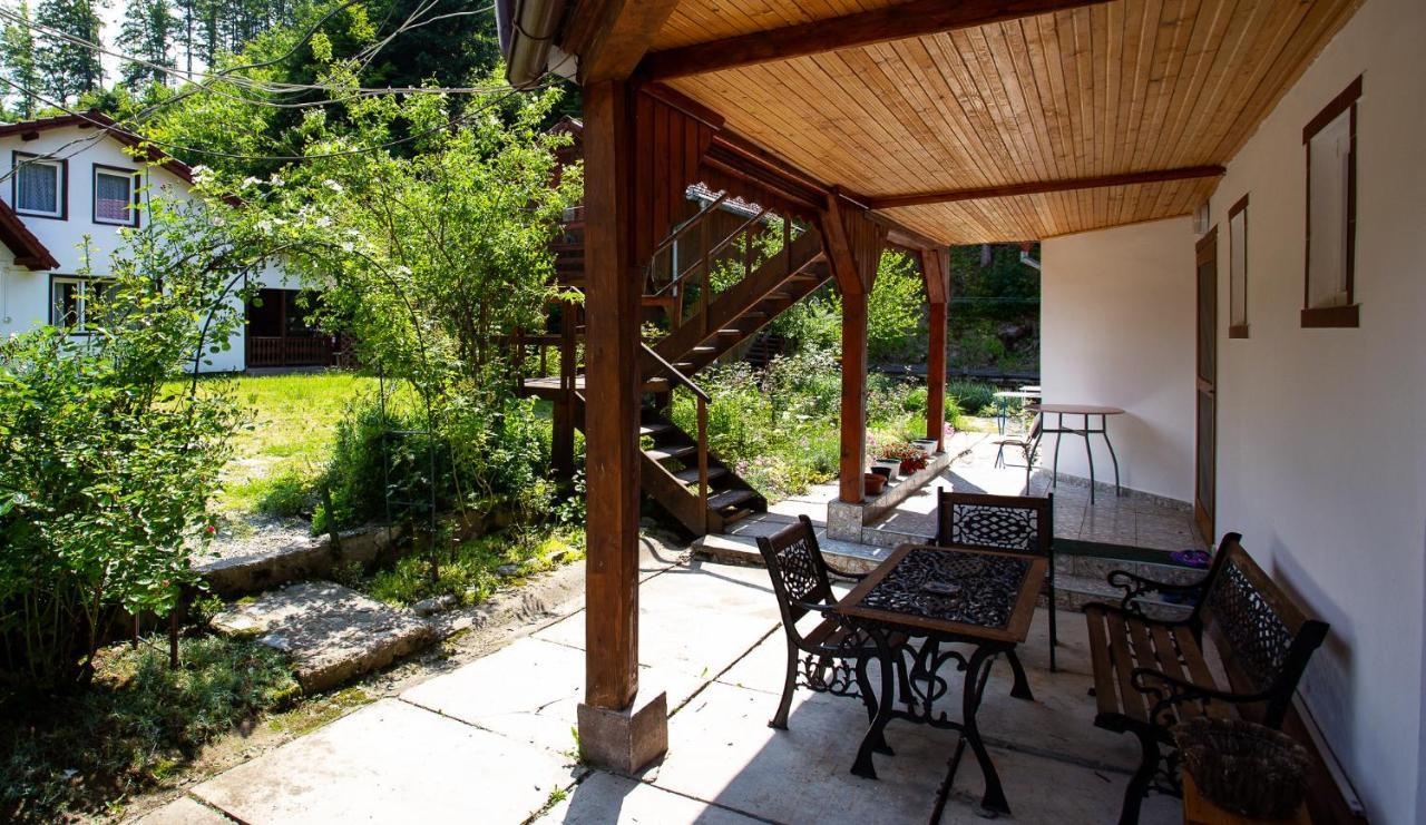 Casa Trandafirilor Hotel Cartisoara Luaran gambar