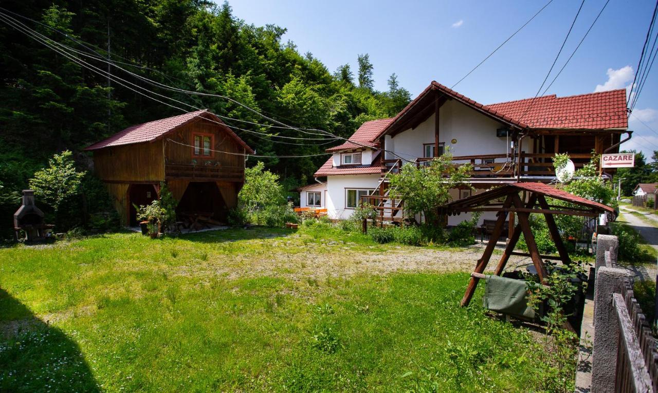 Casa Trandafirilor Hotel Cartisoara Luaran gambar