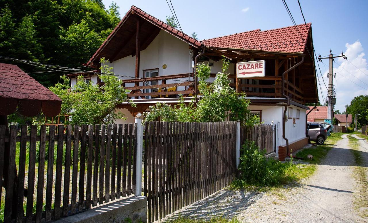 Casa Trandafirilor Hotel Cartisoara Luaran gambar