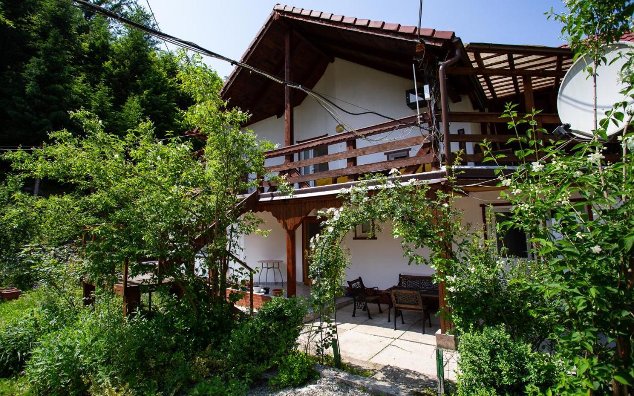 Casa Trandafirilor Hotel Cartisoara Luaran gambar