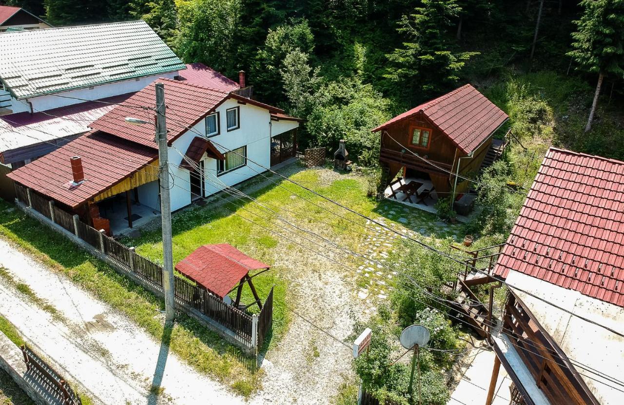 Casa Trandafirilor Hotel Cartisoara Luaran gambar