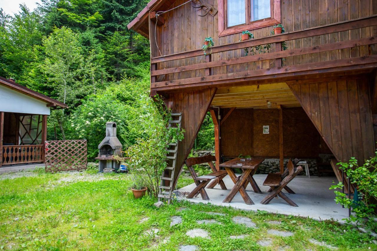 Casa Trandafirilor Hotel Cartisoara Luaran gambar