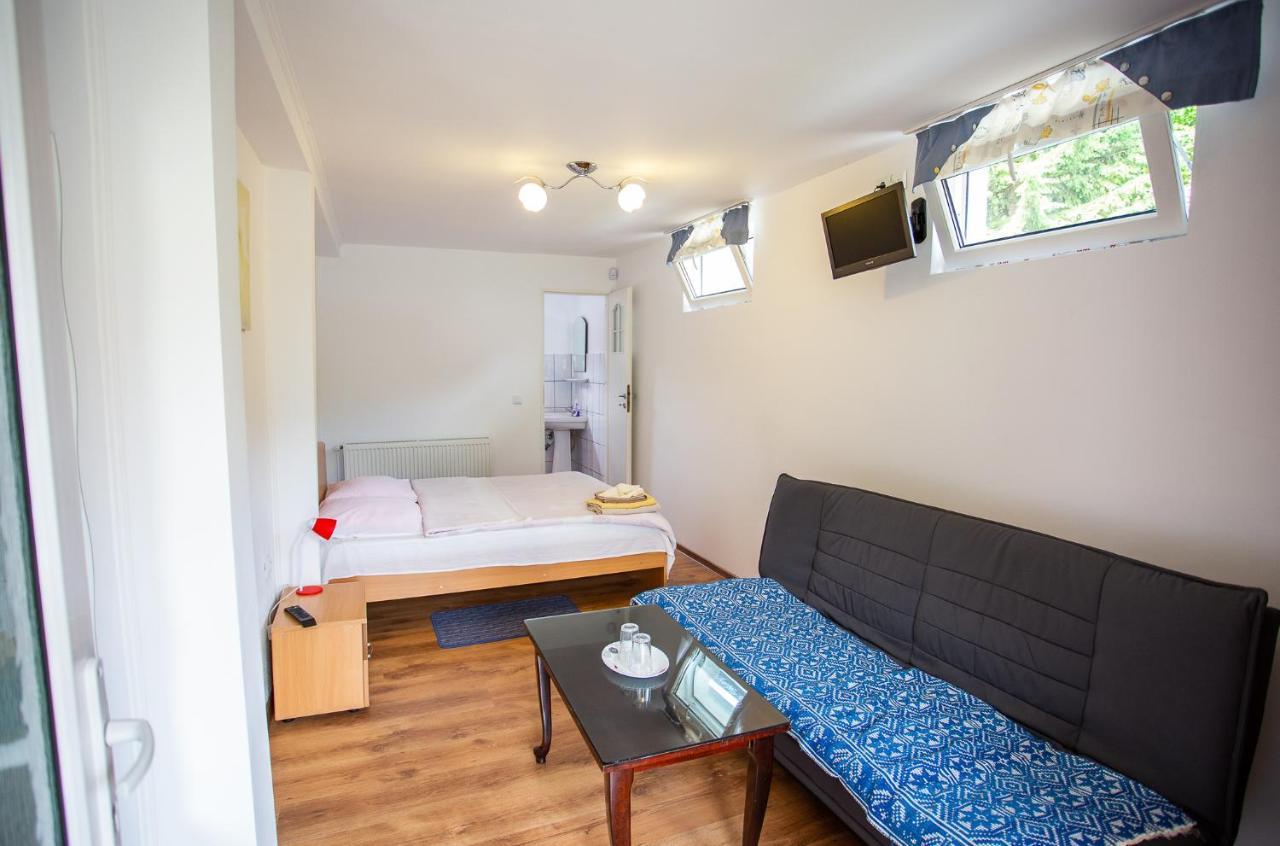 Casa Trandafirilor Hotel Cartisoara Luaran gambar
