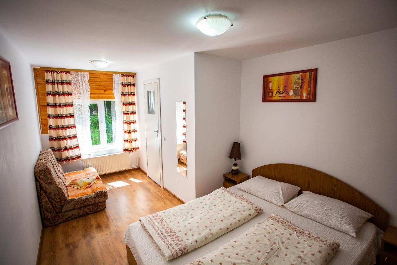 Casa Trandafirilor Hotel Cartisoara Luaran gambar