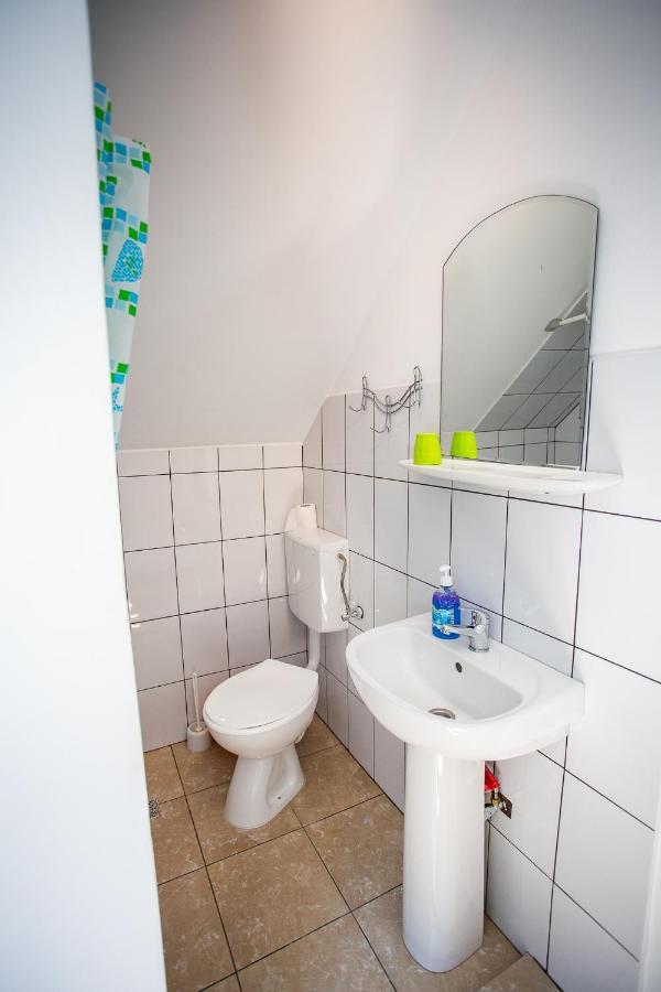 Casa Trandafirilor Hotel Cartisoara Luaran gambar
