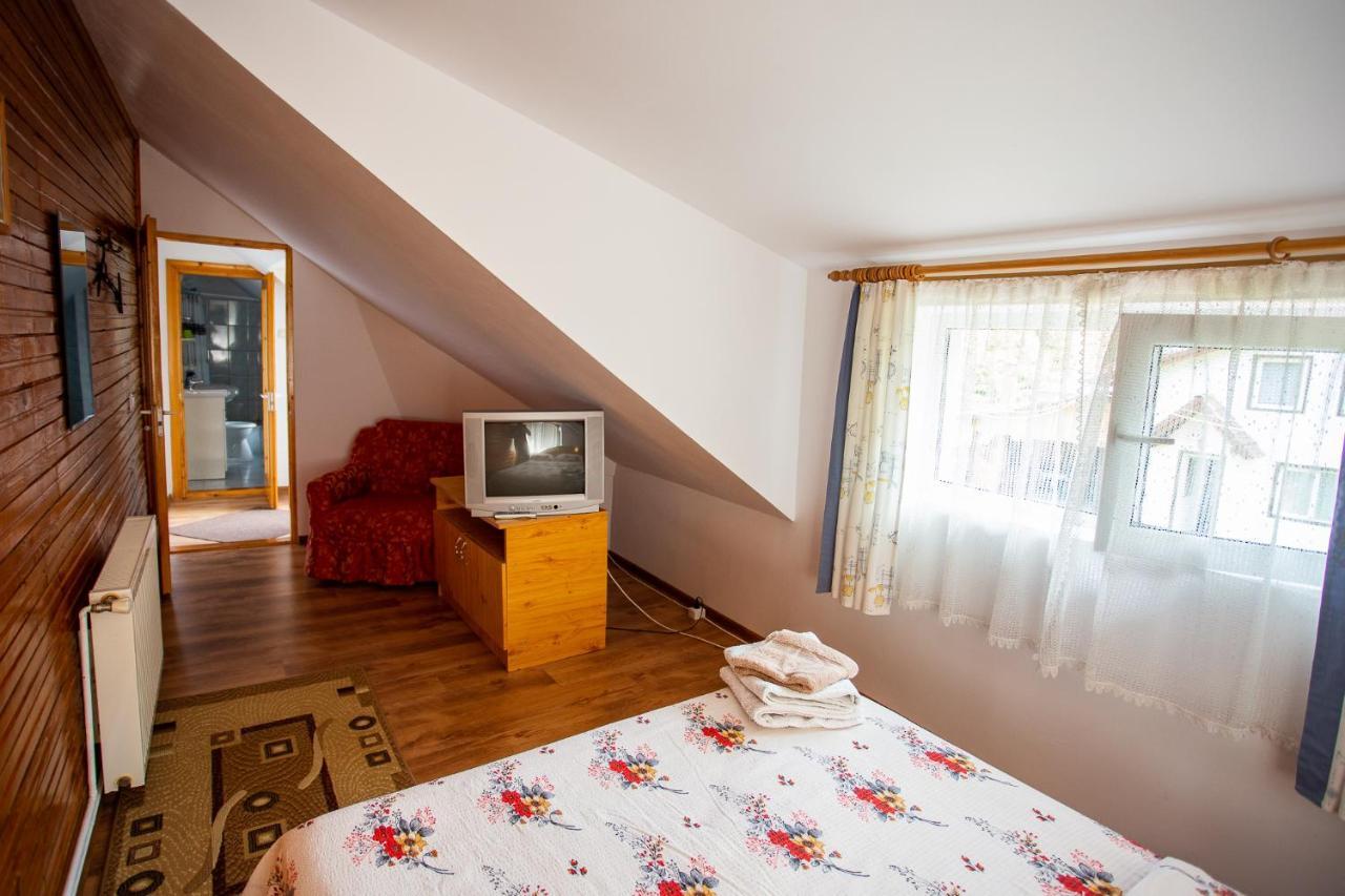 Casa Trandafirilor Hotel Cartisoara Luaran gambar