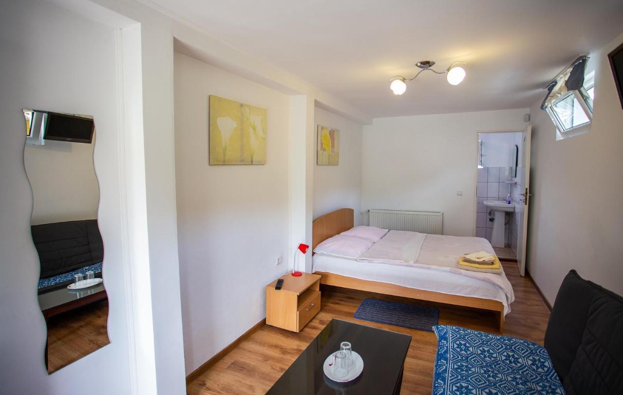 Casa Trandafirilor Hotel Cartisoara Luaran gambar