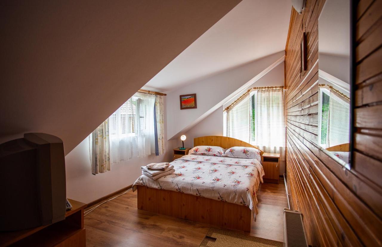 Casa Trandafirilor Hotel Cartisoara Luaran gambar