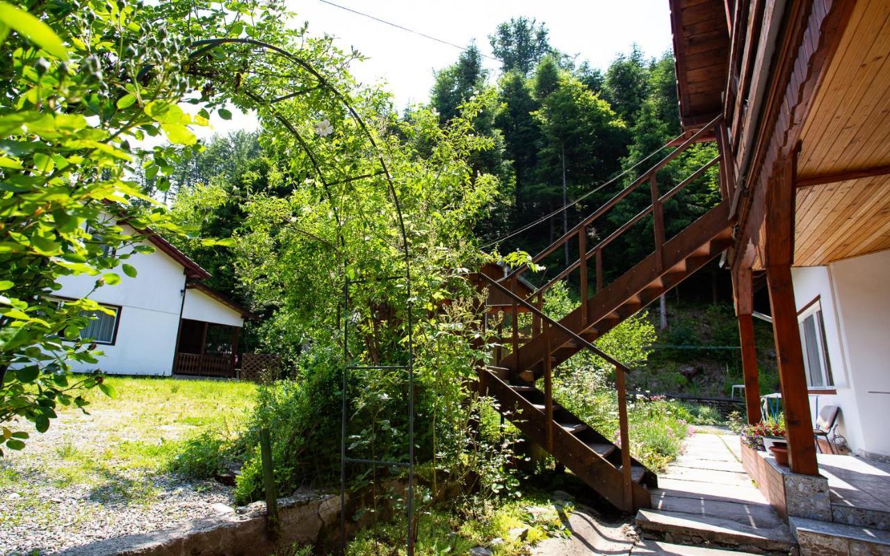 Casa Trandafirilor Hotel Cartisoara Luaran gambar