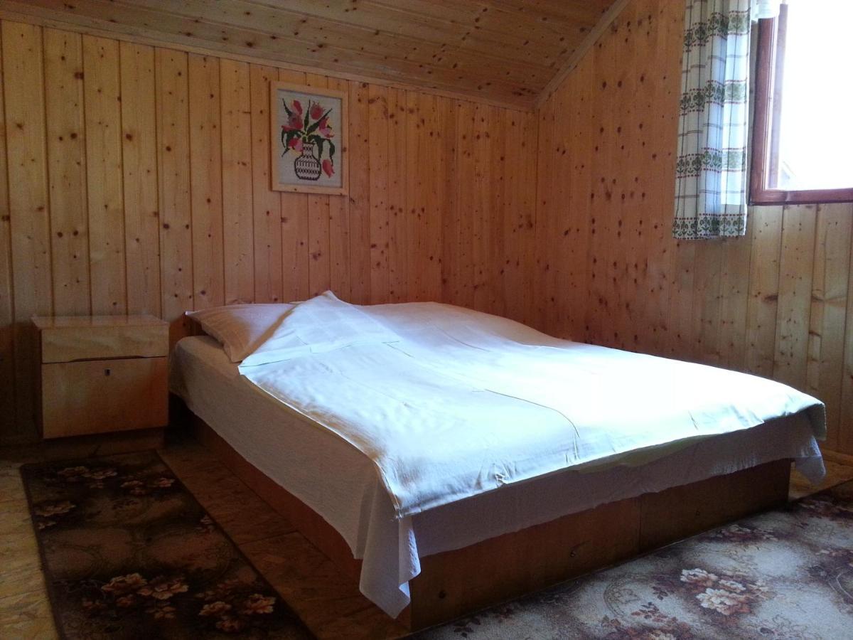 Casa Trandafirilor Hotel Cartisoara Luaran gambar