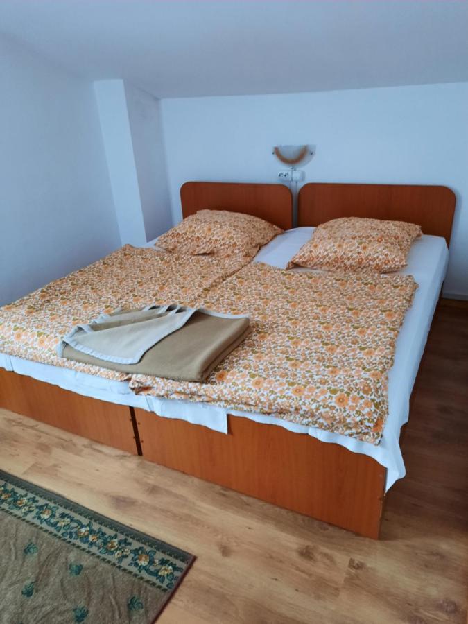 Casa Trandafirilor Hotel Cartisoara Luaran gambar
