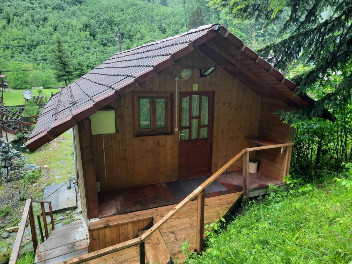 Casa Trandafirilor Hotel Cartisoara Luaran gambar