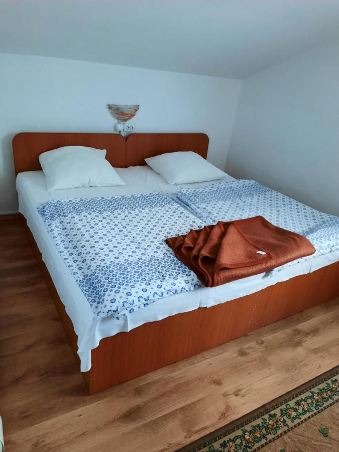 Casa Trandafirilor Hotel Cartisoara Luaran gambar