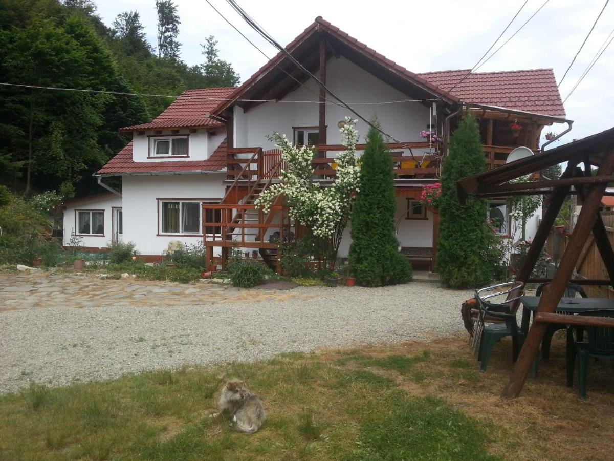 Casa Trandafirilor Hotel Cartisoara Luaran gambar