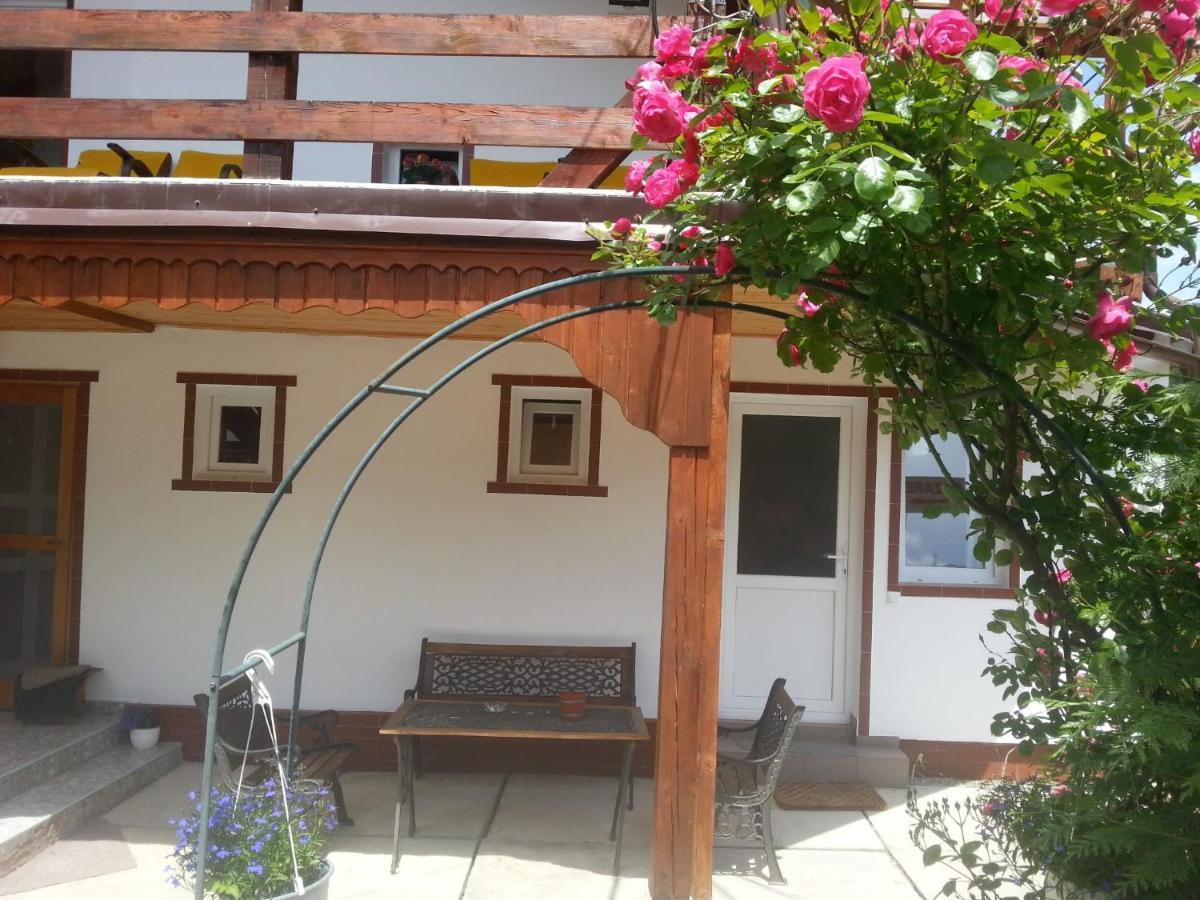 Casa Trandafirilor Hotel Cartisoara Luaran gambar