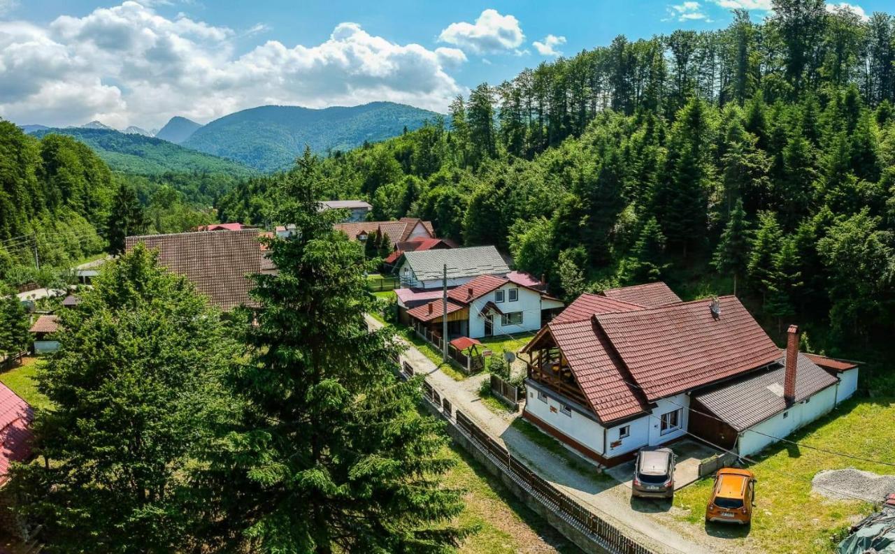 Casa Trandafirilor Hotel Cartisoara Luaran gambar