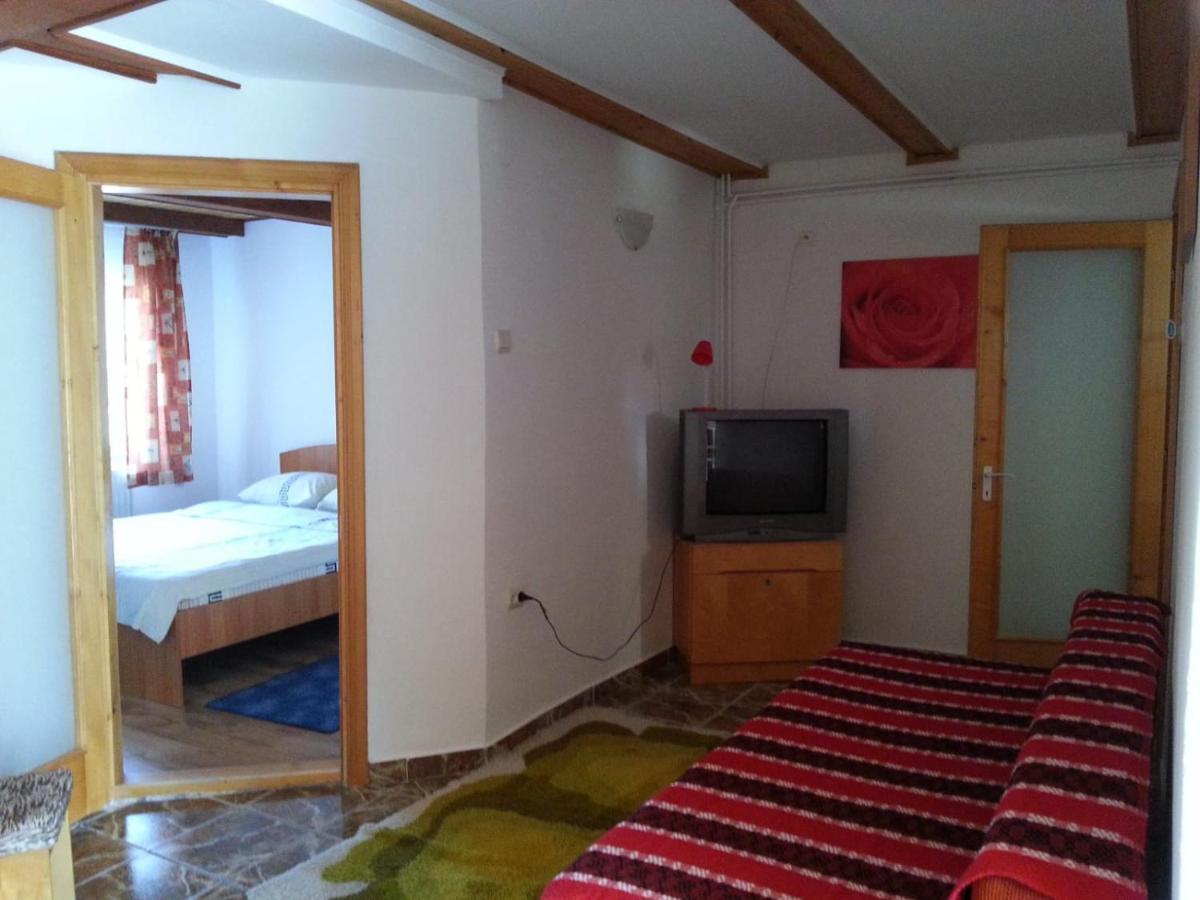 Casa Trandafirilor Hotel Cartisoara Luaran gambar