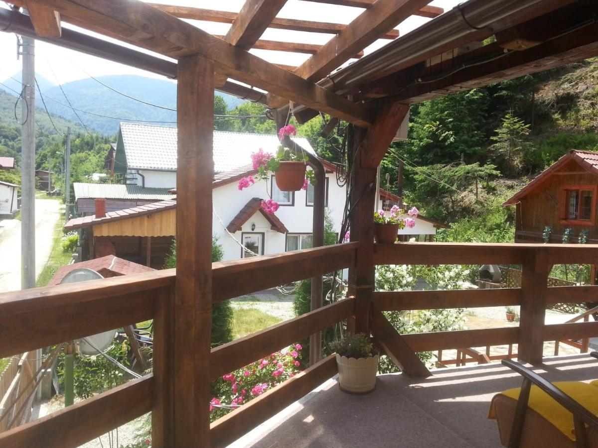 Casa Trandafirilor Hotel Cartisoara Luaran gambar