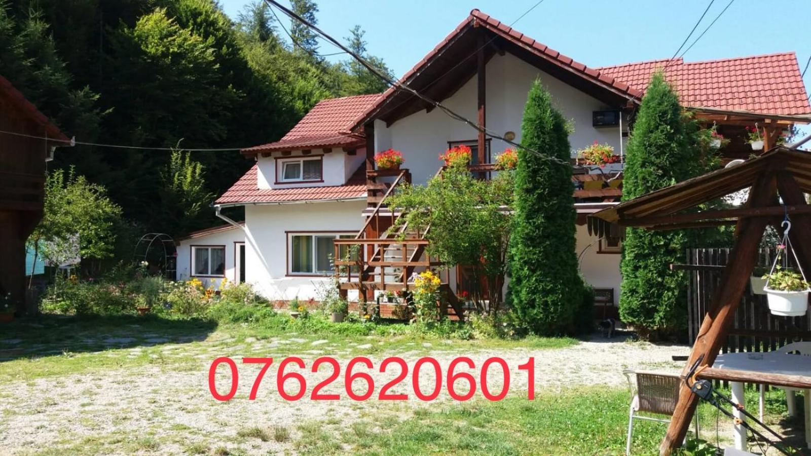 Casa Trandafirilor Hotel Cartisoara Luaran gambar